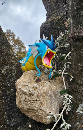 Super grande figurine Pokemon Nintendo Leviator 