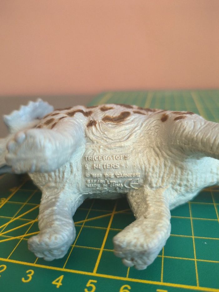 Triceratops Safari - photo numéro 3