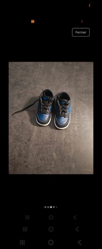 Baskets nike dunk