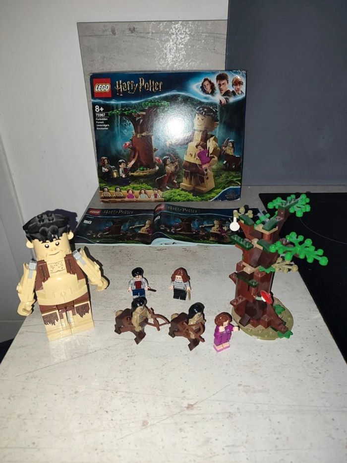Lego Harry Potter "La Forêt interdite : la rencontre d'Ombrage "(75967) - photo numéro 3