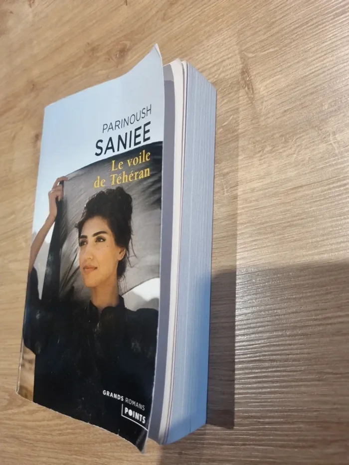 Le voile de Téhéran - photo numéro 3