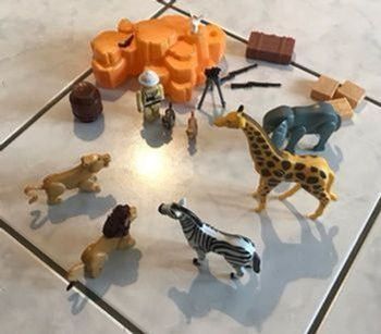 animaux de la savane