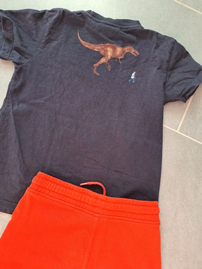 Short tshirt - photo numéro 4