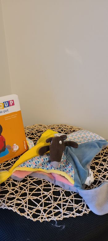 Livre P'tit Loup - P'tit loup va sur le pot