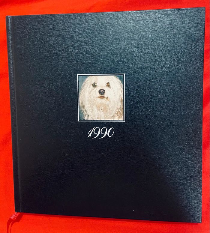 Agenda 1990 Les petits frères