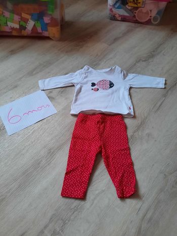 Ensemble obaidi legging + t shirt poisson