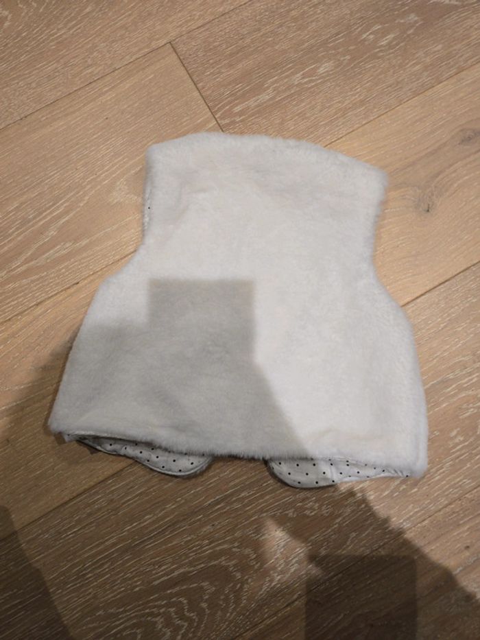 Fourrure sans manche - photo numéro 2