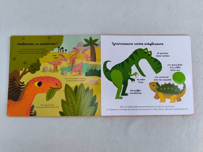 Livre Les dinosaures Milan - photo numéro 5