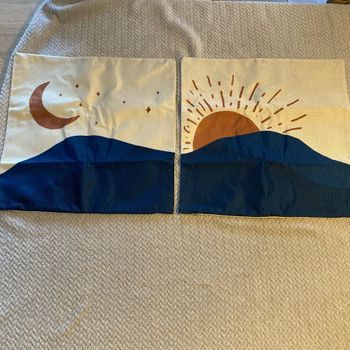 Lot de 2 housses de coussins 45x45