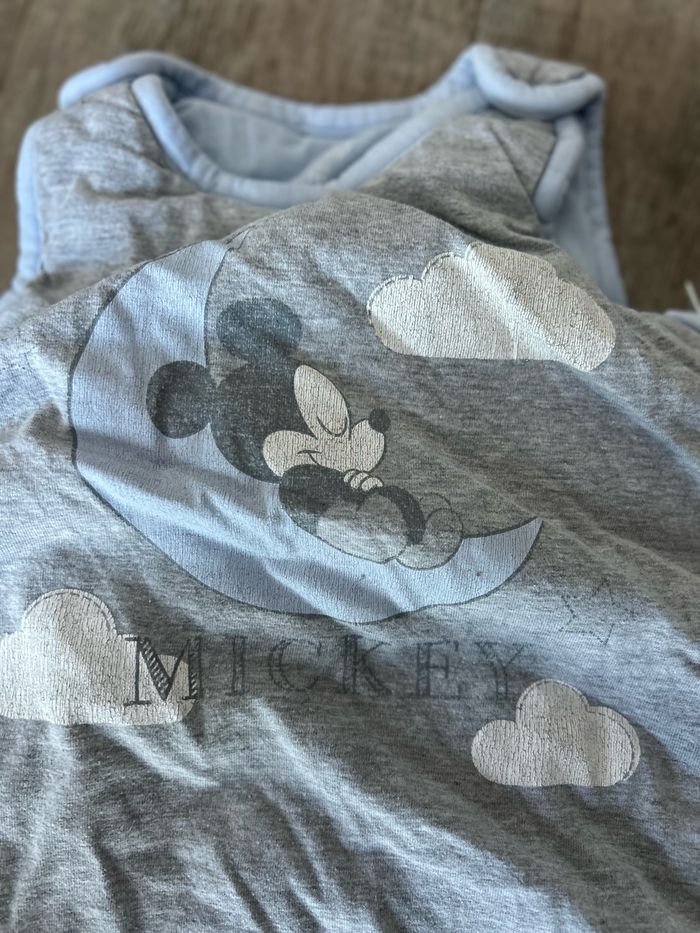 Gigoteuse chaude Mickey - photo numéro 2