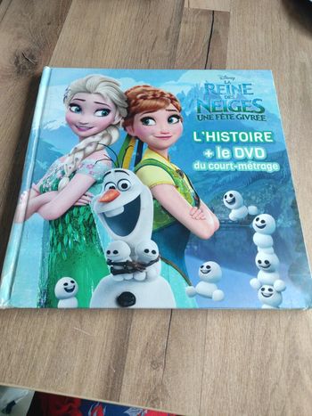 Livre : La reine des neiges une fête givrée