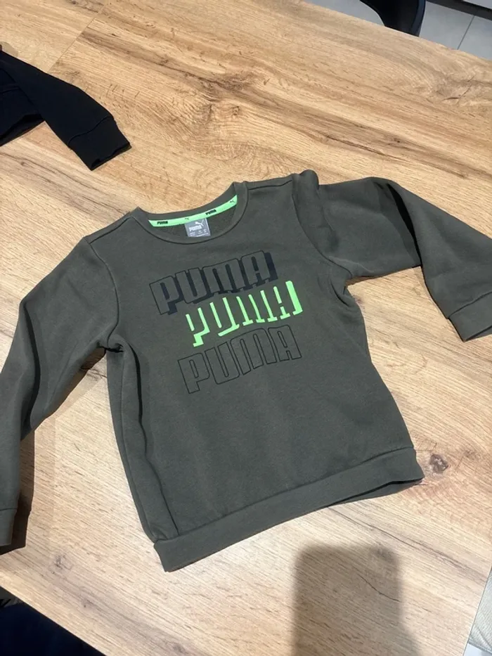 Pull puma