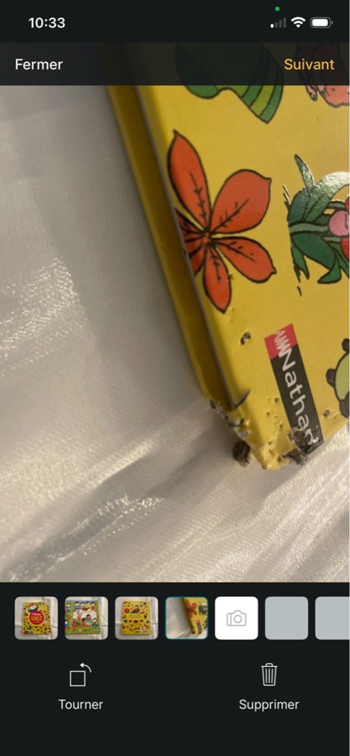 T’choupi cherche trouve les saisons. Bon état. - photo numéro 4