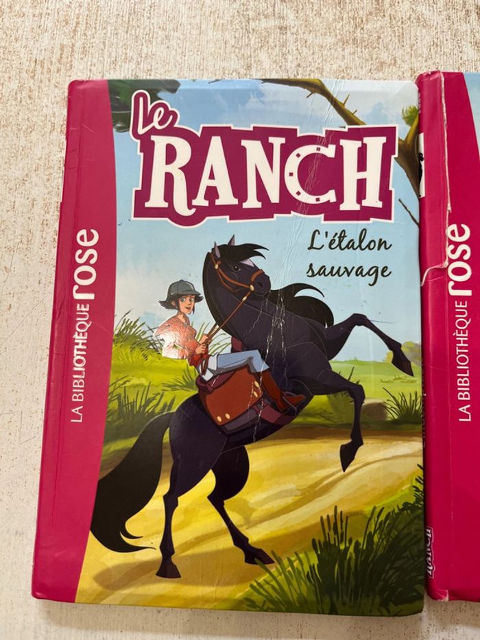 Lot livre le ranch - photo numéro 2