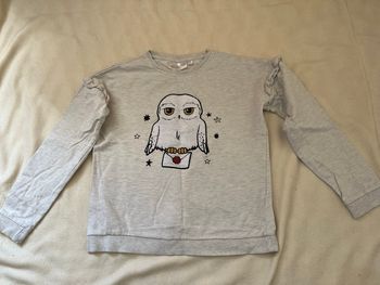 Pull Harry Potter 10 ans