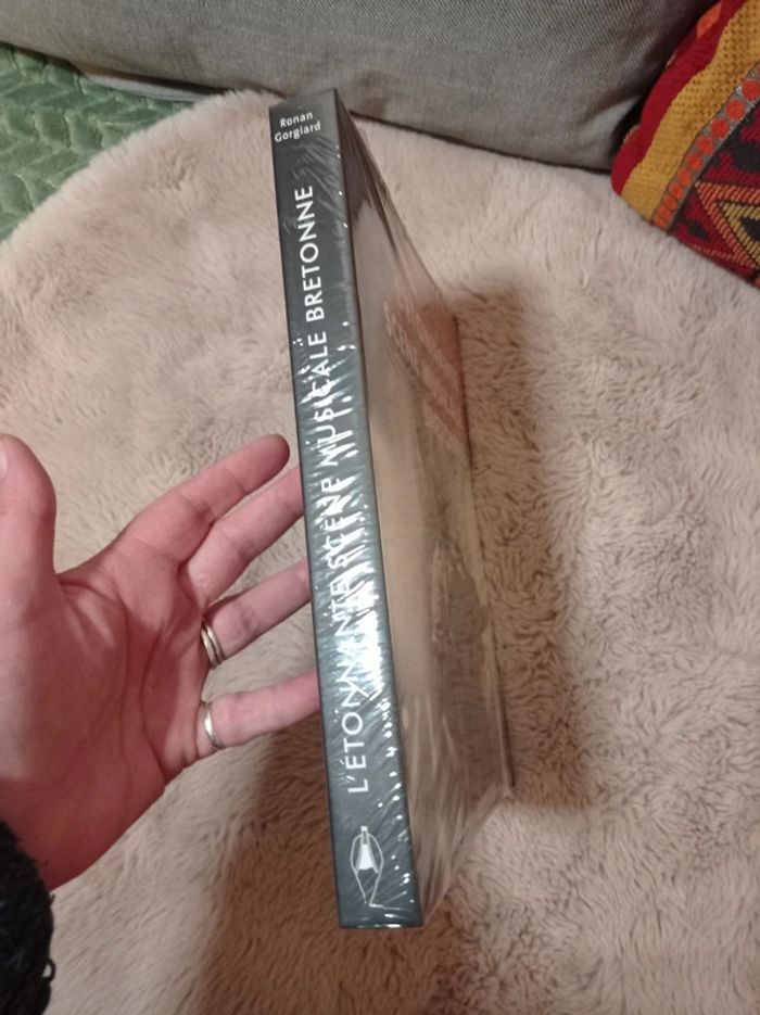 L'étonnante scène musicale bretonne de R. Gorgiard - photo numéro 5