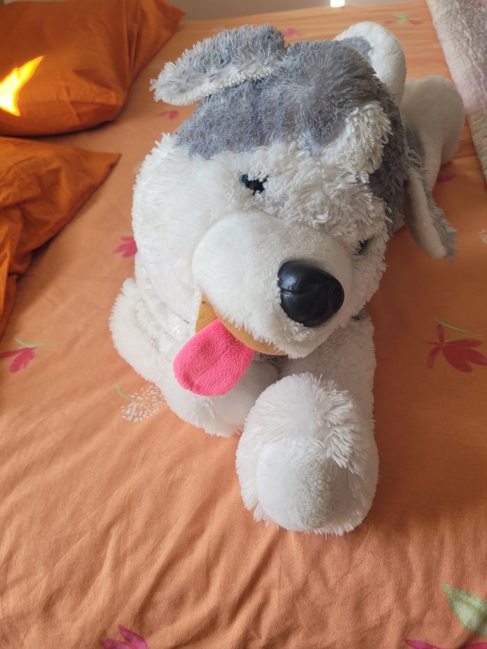 Deux peluches - photo numéro 6