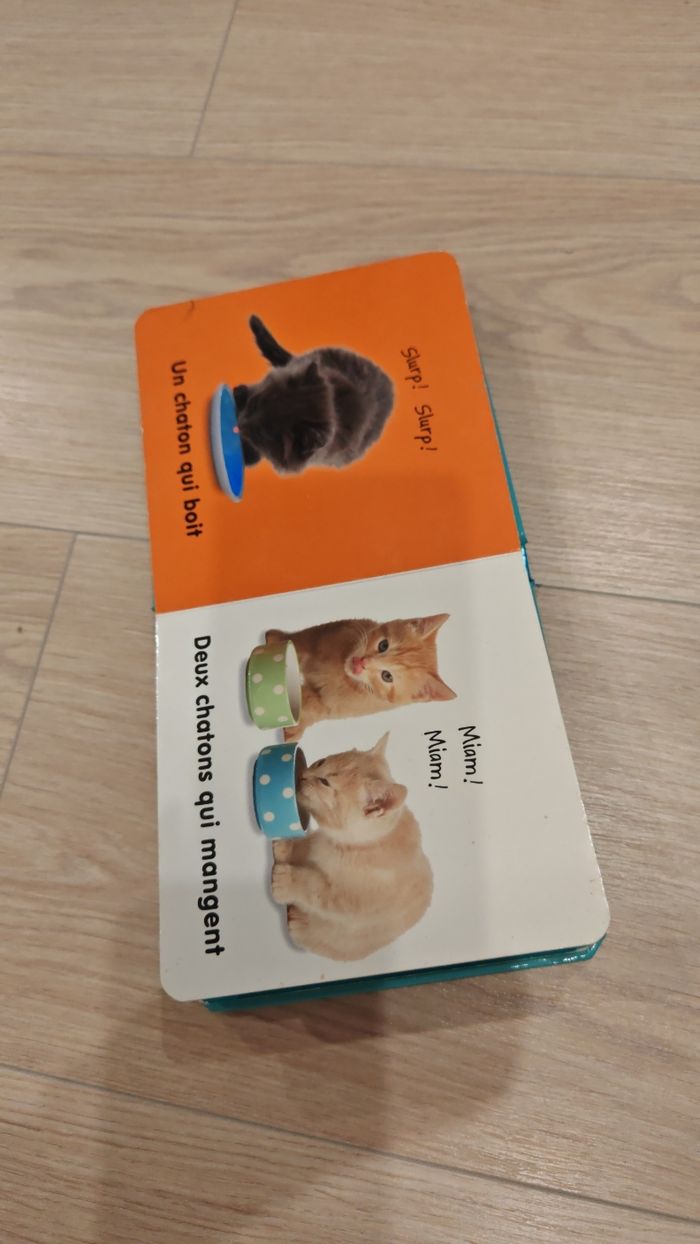 Livre Les chatons à toucher - photo numéro 3