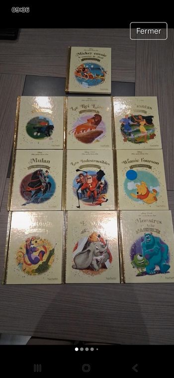 Lot  10 livres mes petits livres d'or