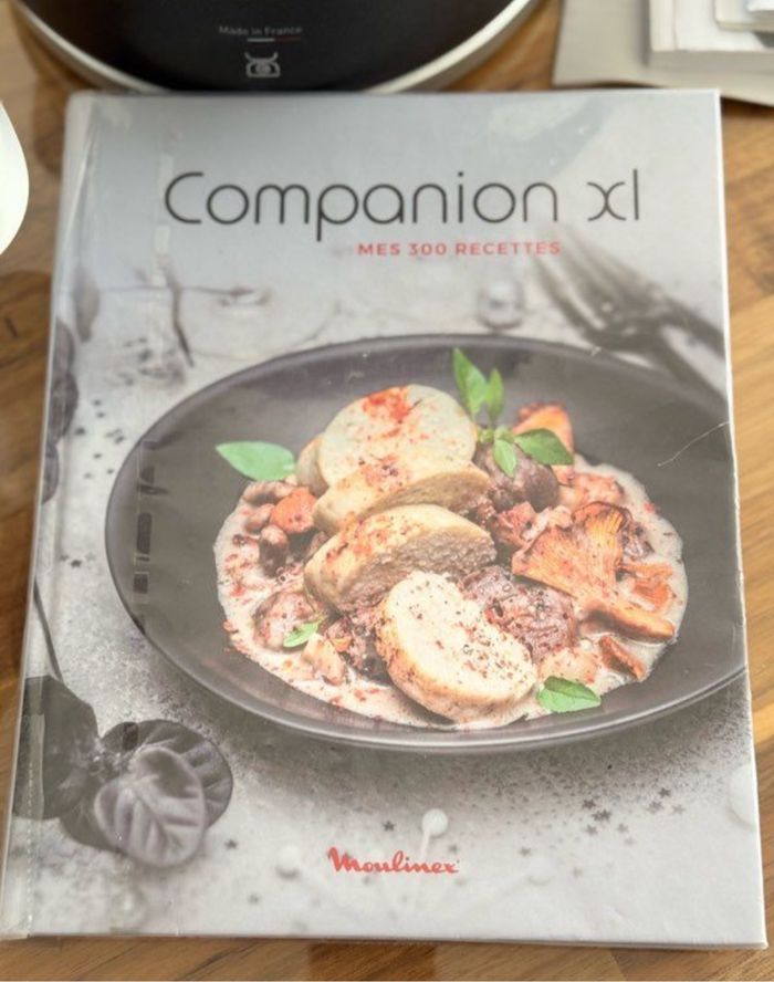 I-Companion Touch XL connecté - photo numéro 7