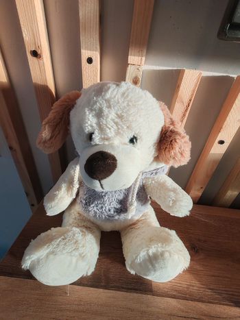 Chien gipsy beige pull gris capuche