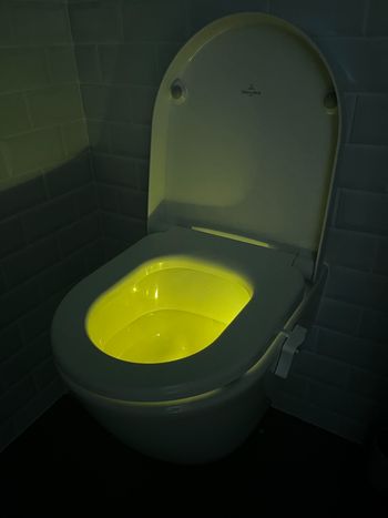 Éclairage led wc 16 couleurs