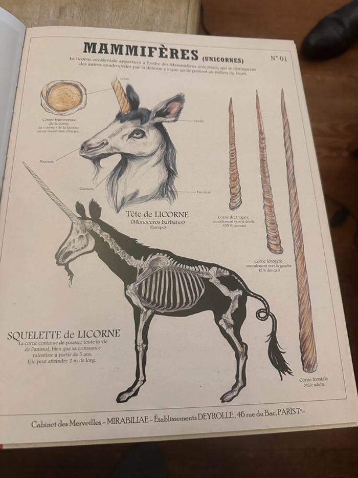 Deyrolle Les Histoires vraies des Créatures Fantastiques Plume de Carotte - photo numéro 5