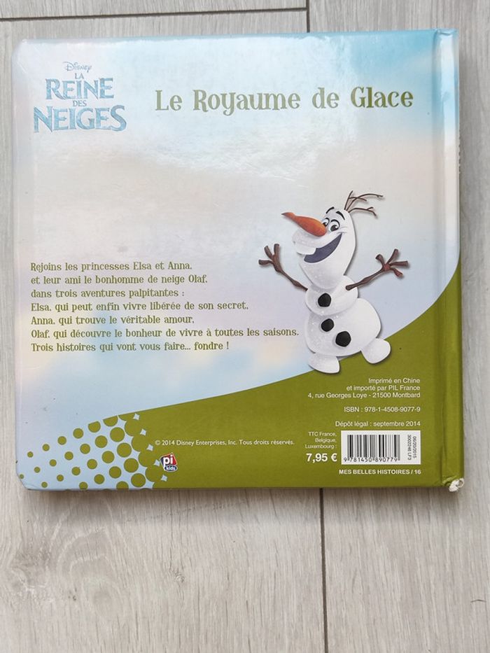 Disney - Le royaume des glaces - photo numéro 6