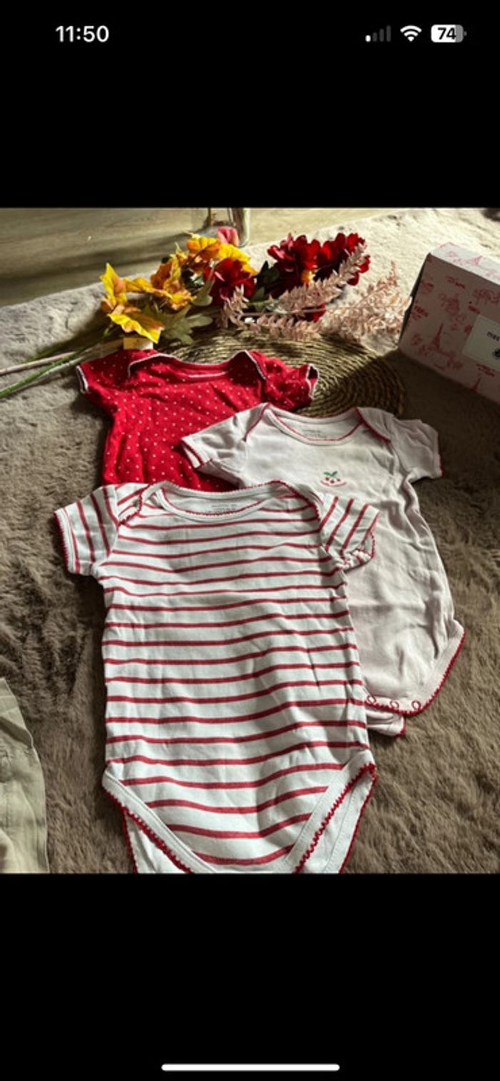 🌹lot de 3 body manche courte bout’chou