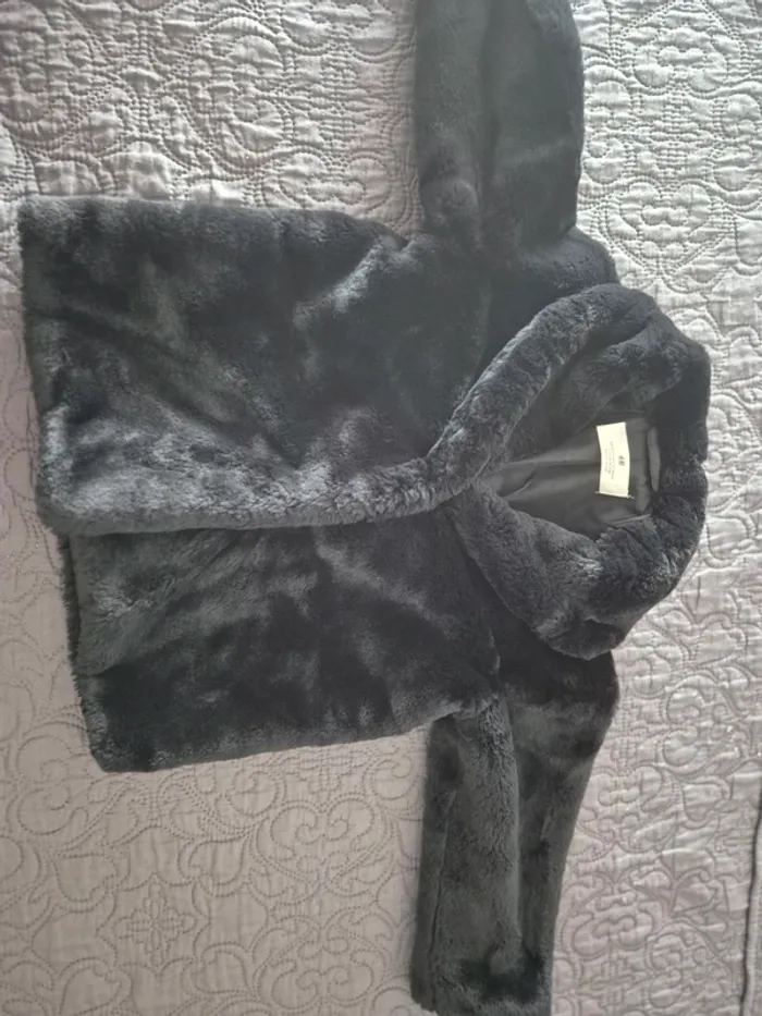 Manteau - photo numéro 3