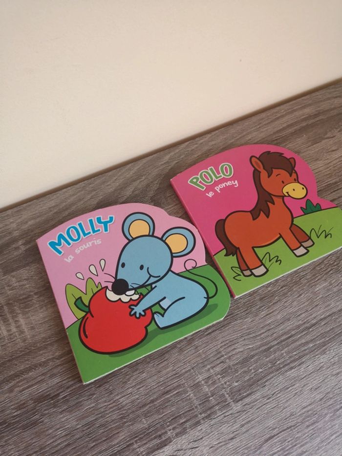 Lot de deux livres pour enfants