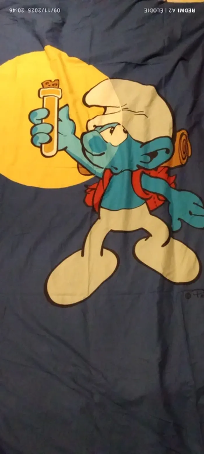 housse de couette et housse oreiller 1 personne strouphm