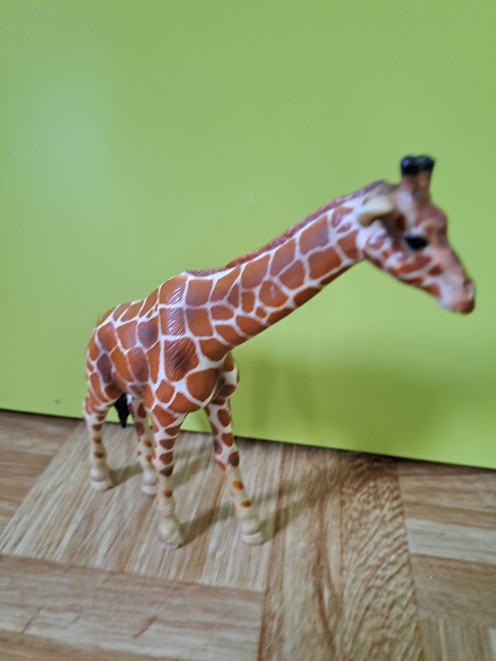 Gyraphe schleich 2003