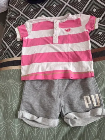 Ensemble pumas