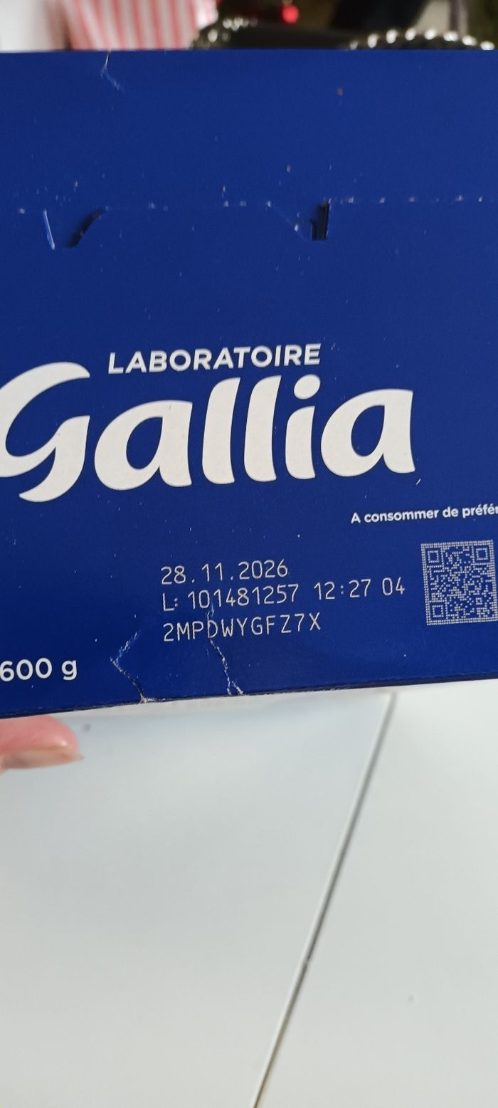 Gallia - photo numéro 3