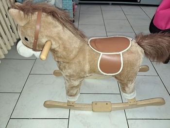 Cheval a bascule