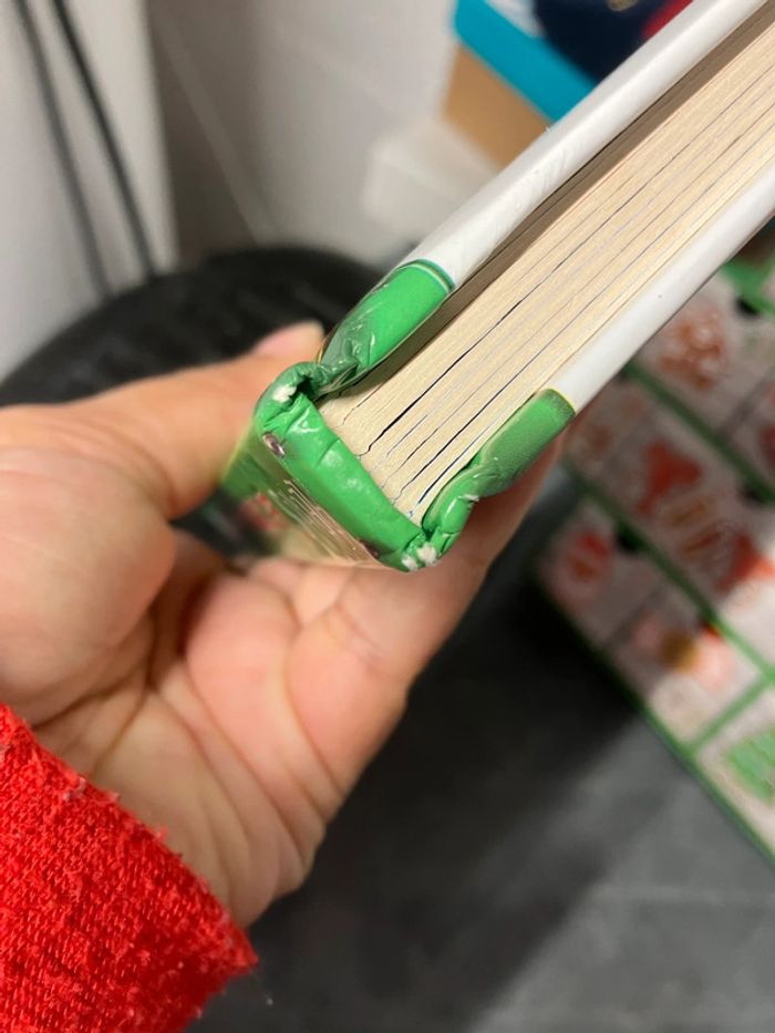 Le traîneau de noël - photo numéro 4