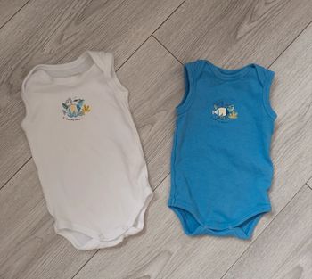 Lot de 2 bodie manche courte  3mois