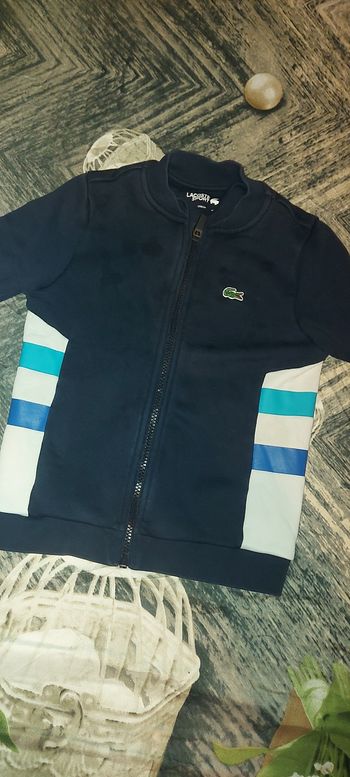 Veste lacoste