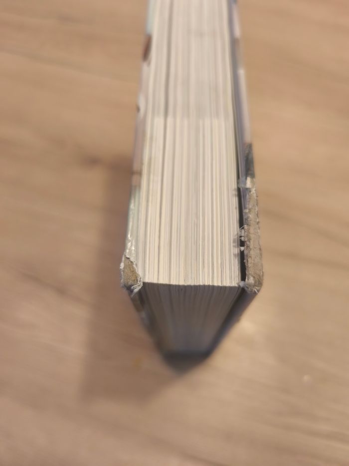 Livre 888 astuces pour aménager son intérieur - photo numéro 5