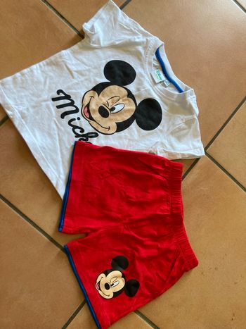 Ensemble Disney