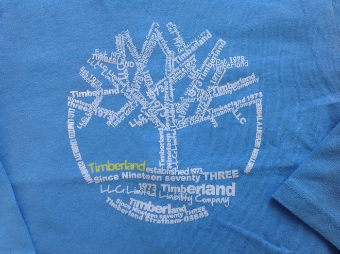 Tee-shirt Timberland bleu - 18 mois - photo numéro 2