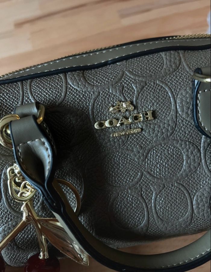 Sac à main Coach mini Rowan - photo numéro 2