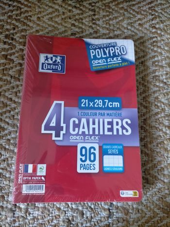 Lot 4 cahiers 96 pages Oxford 21x29, 7 cm