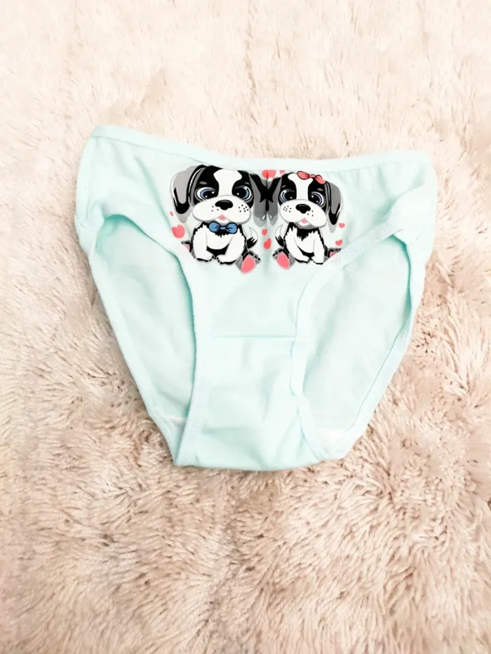 Lot de 4 culottes neuves enfants 3/4 ans en coton - photo numéro 6