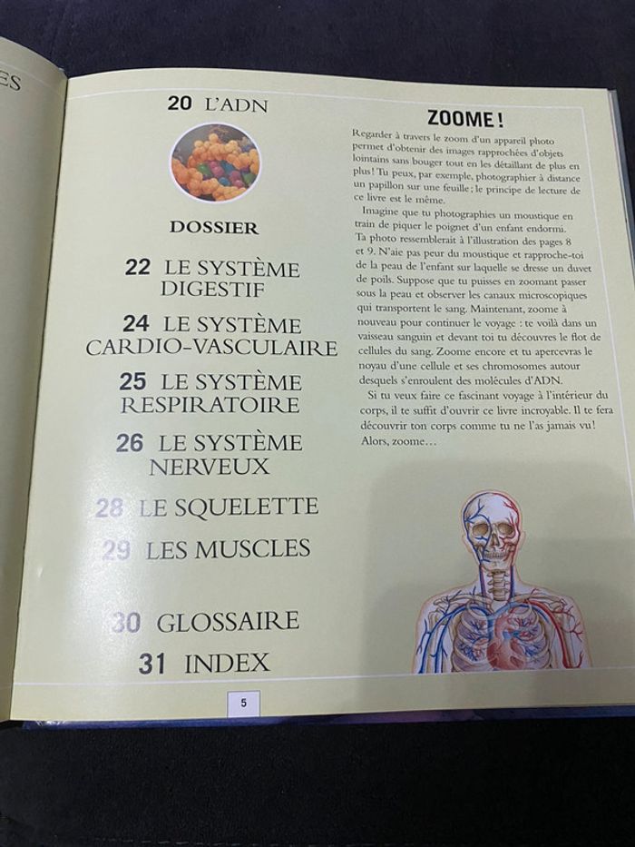 Zoom 🌸 le corps humain - photo numéro 3