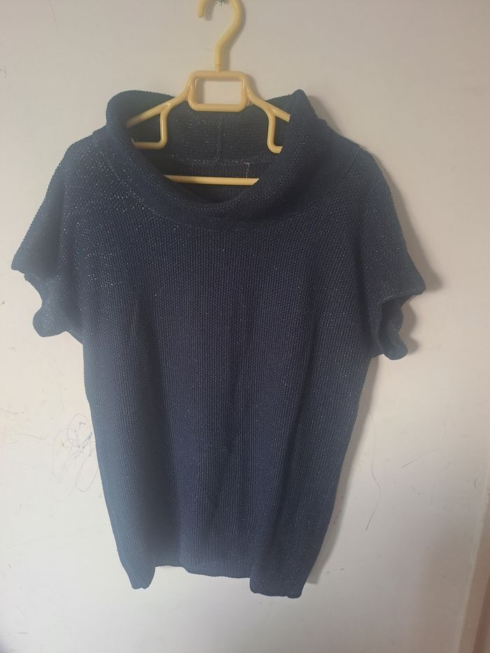 Pull Manches courtes grand col roulé - photo numéro 2