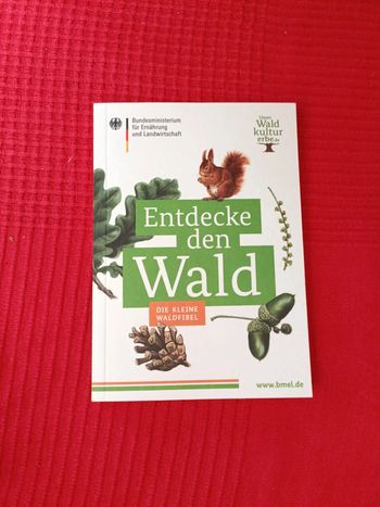 Entdecken den wald