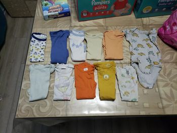 Lot 11 bodis courts 1 an 74 cm