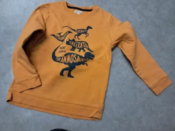 pull sweat garcon 10 ans vertbaudet